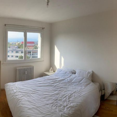 Appartement Avec Belle Vue Et Place De Parking Annemasse Bagian luar foto