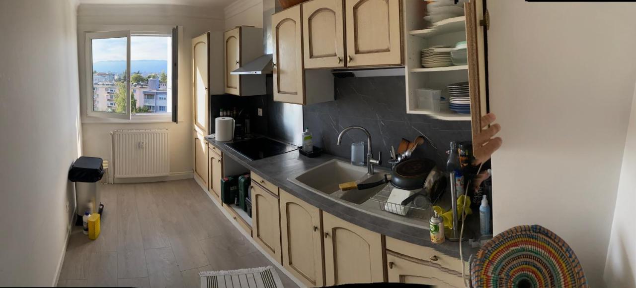 Appartement Avec Belle Vue Et Place De Parking Annemasse Bagian luar foto