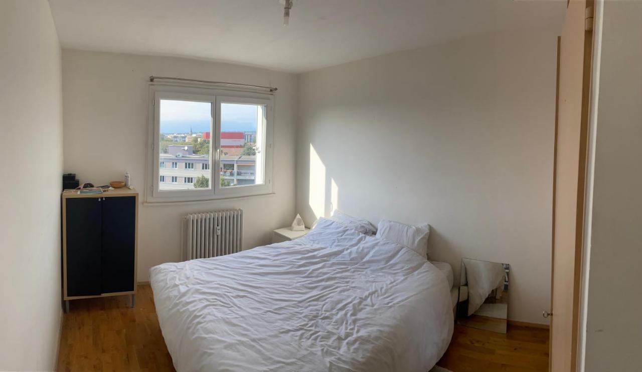 Appartement Avec Belle Vue Et Place De Parking Annemasse Bagian luar foto